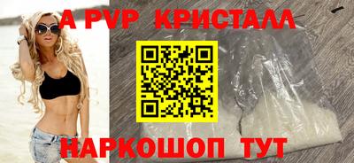 шишки Лесосибирск