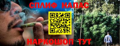 шишки Лесосибирск