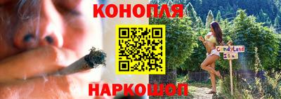шишки Лесосибирск