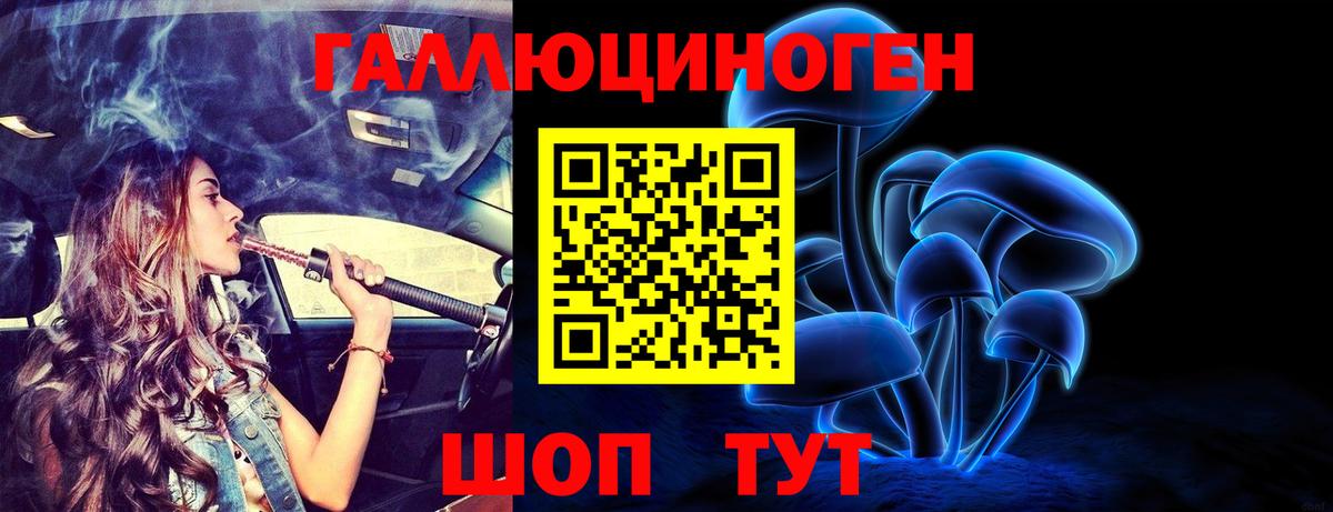 Долгопрудный  наркота  Вход с VPN  Псилоцибиновые грибы Psilocybine cubensis 